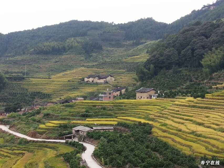 斜滩人口_人口普查(3)