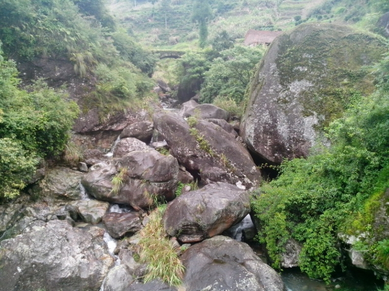 IMG_20120624_140416_00.jpg